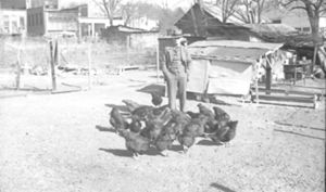 Stanley Hutchinson Photos