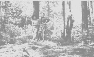 Stanly Hutchinson Photos