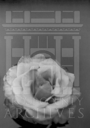 Coleman Library Flower Show, 1979
