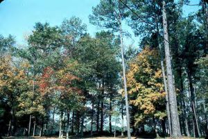 Highland Country Club