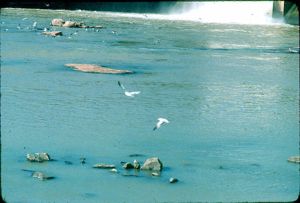 West Point Dam