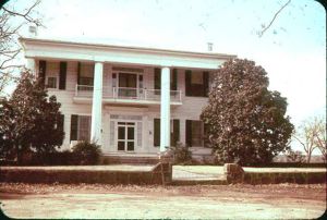Gold Hill