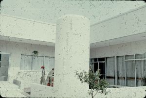 Cobb Archives