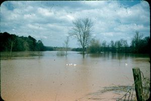 Chattahoochee River
