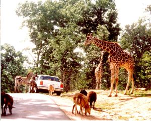 Treasures of Troup County