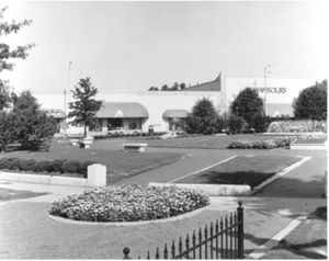 Mansours Store