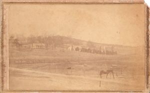 Bull Family Photographs