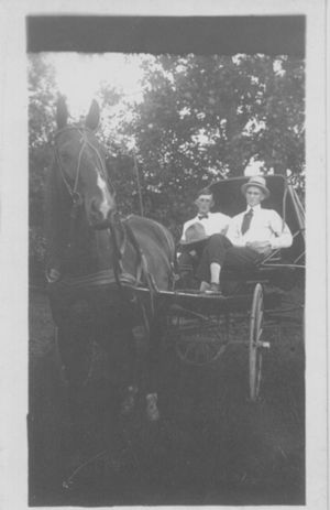Men in Horse-drawn Buggy