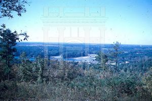 Pine Mountain