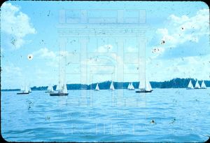 Sailboats on Backwater