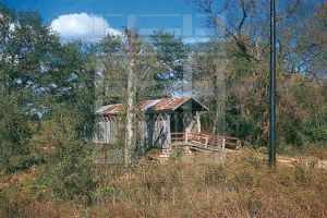 Tallahatchee Creek Bridge, Calhoun County, Alabama