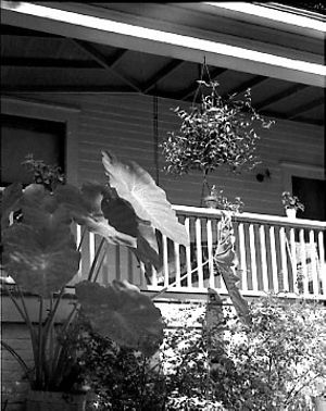 Porch of former Mill House