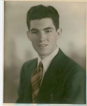 Young Man In Suit