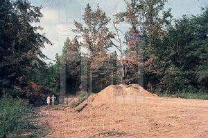 Neely road Bridge Ruins