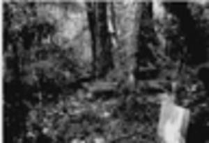 Hodnett Family Cemetery