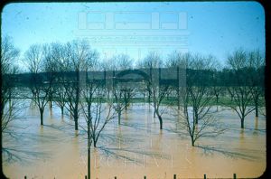 Chattahoochee River from Dye Works