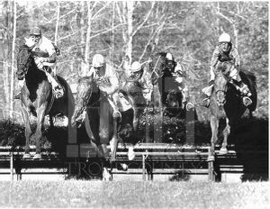 Steeplechase at Callaway Gardens