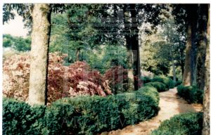 Filming at Ferrell Gardens