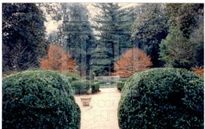 Ferrell Gardens