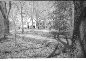 Lynn Morgan Negatives