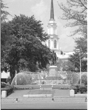 Lynn Morgan Negatives