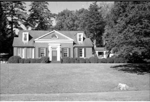 Lynn Morgan Negatives