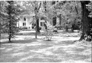 Lynn Morgan Negatives