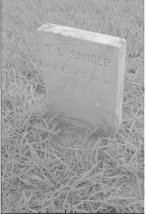 Lynn Morgan Negatives