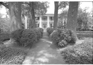 Lynn Morgan Negatives