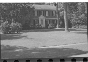 Lynn Morgan Negatives