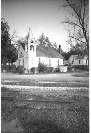 Lynn Morgan Negatives