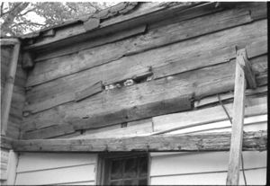 Lynn Morgan Negatives