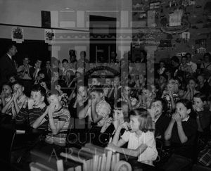 CEA Harmonica Performance