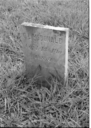 Lynn Morgan Negatives