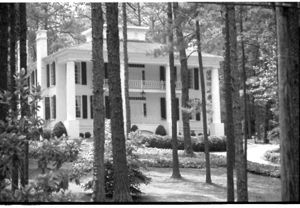 Lynn Morgan Negatives