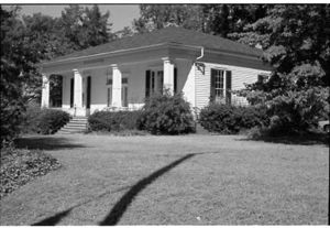 Lynn Morgan Negatives