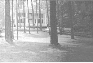 Lynn Morgan Negatives