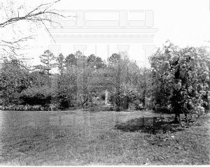 Garden of Mrs. B.J. King