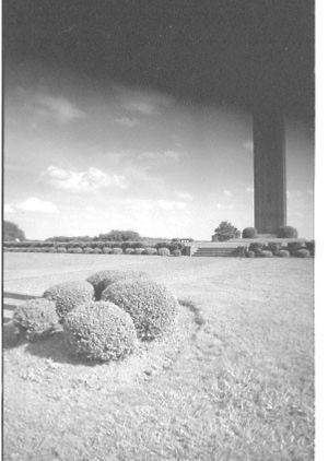 Lynn Morgan Negatives