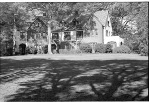 Lynn Morgan Negatives