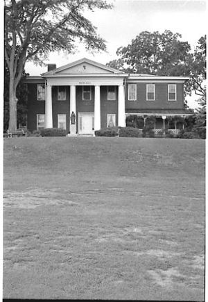 Lynn Morgan Negatives