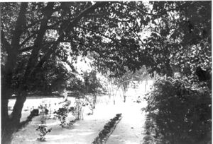 Ferrell Gardens