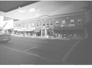 Lynn Morgan Negatives