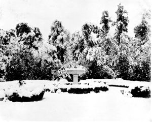 Ferrell Gardens
