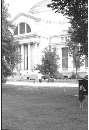 Lynn Morgan Negatives