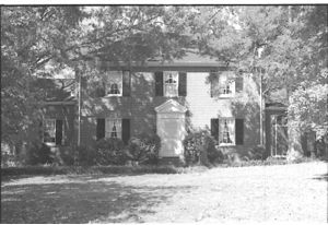 Lynn Morgan Negatives