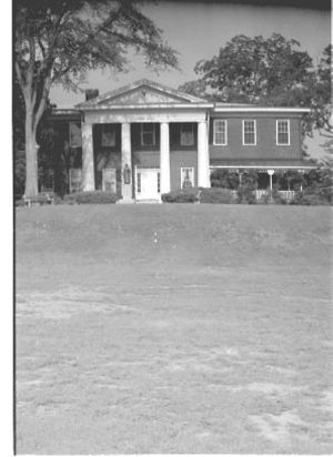Lynn Morgan Negatives