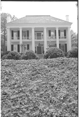 Lynn Morgan Negatives