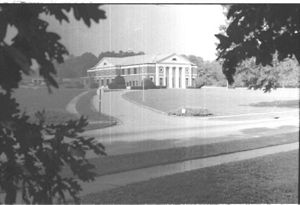 Lynn Morgan Negatives