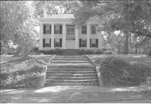 Lynn Morgan Negatives